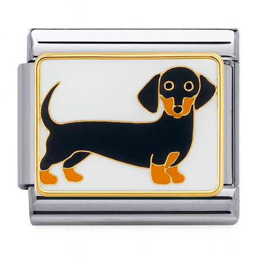 Weiner Dog