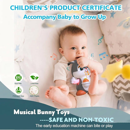 Easter Bunny Musical Toy for 1+ Year Old, Baby Crawling Toy for 6 12 Months, Easter Gifts for Baby Girls and Boys