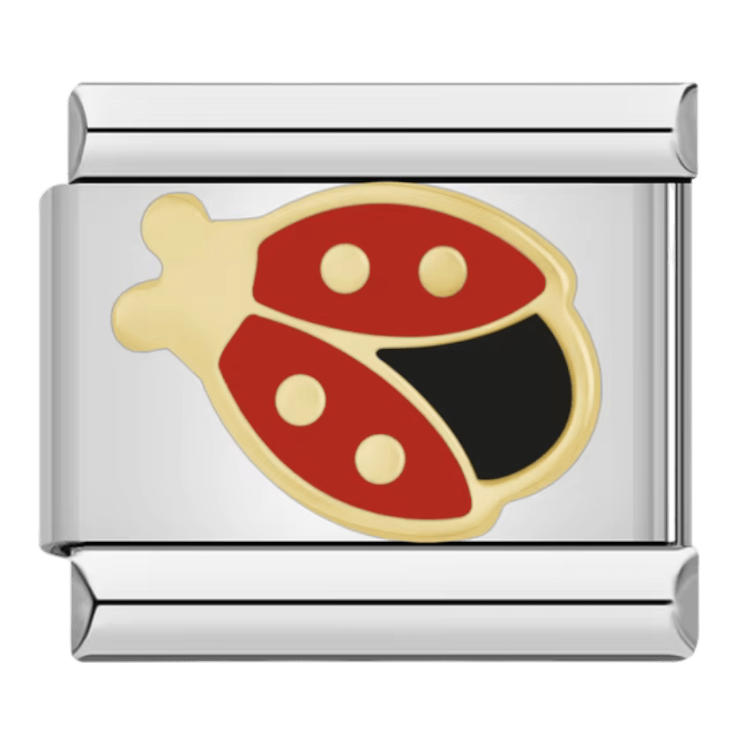 Lady Bug