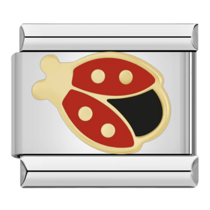 Lady Bug