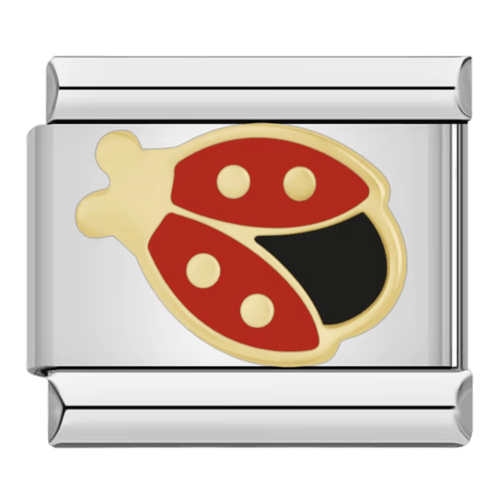 Lady Bug