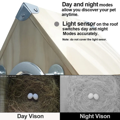 Bird Watching Nesting Feeder Nest