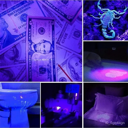 UV Flashlight for Bed Bug Detection and Stain Finder