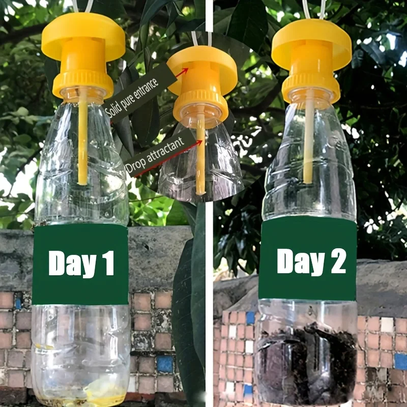 Fruit Fly Trap with Hanging Cover