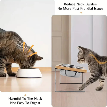 Raised Cat Bowl for Comfortable Feeding