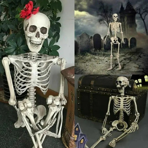 Creepy Poseable Skeleton for Halloween Decorations