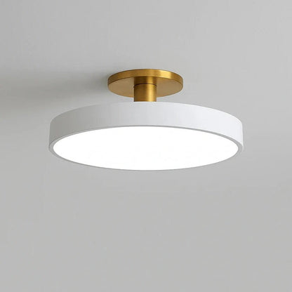 Modern LED Ceiling Light with Flush Mount Design for Interior Spaces