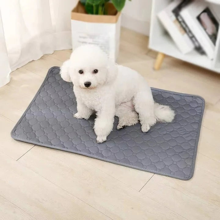 Reusable and Disposable Dog Training Pee Pads