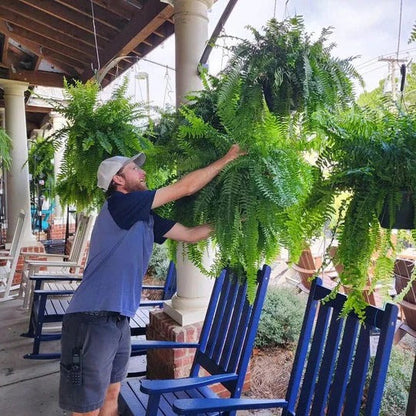 Artificial Boston Fern – UV-Resistant Hanging Plant for Outdoor Décor