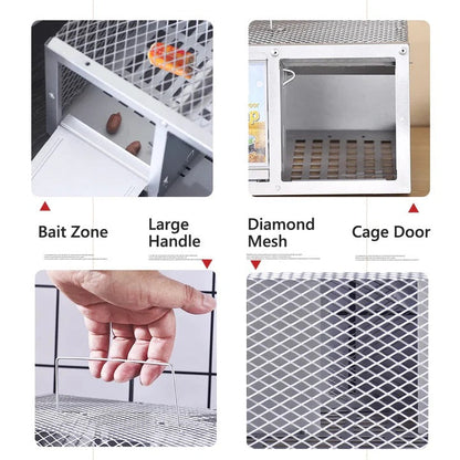 Metal Mouse Trap Cage with Single Door and Reusable Design