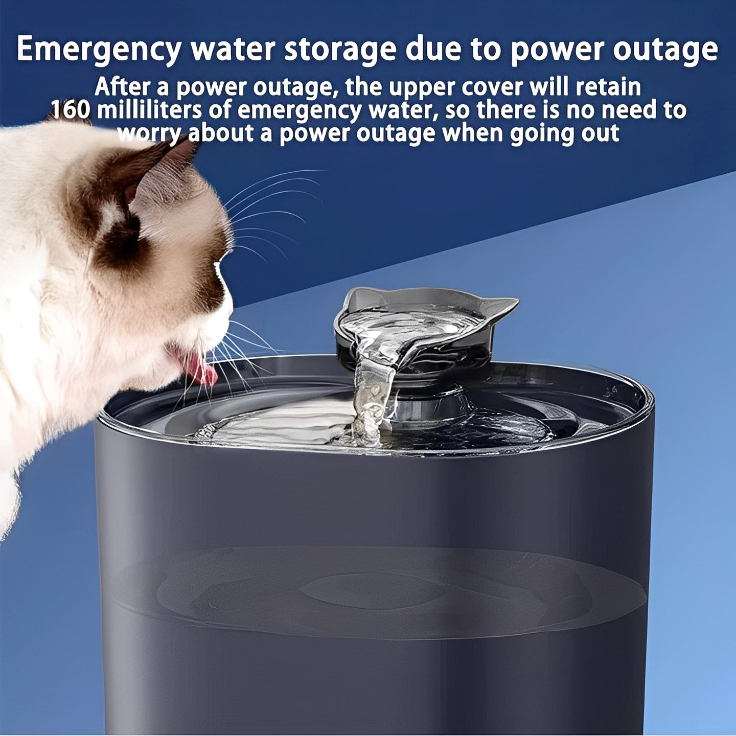 Cat Drinking Fountain and Water Dispenser