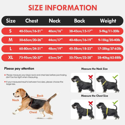 Life Jacket and Floatation Vest for Dogs