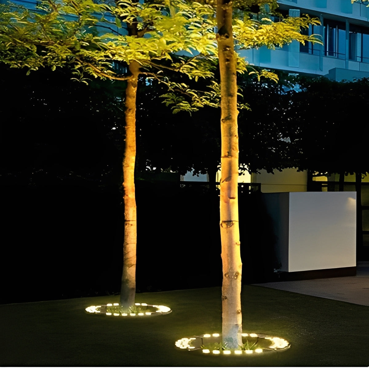 Outdoor LED Spotlight for Tree and Landscape Lighting