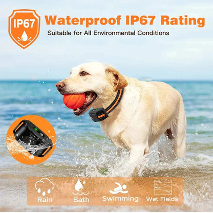 Dog Training E Collar Remote for Training and Control