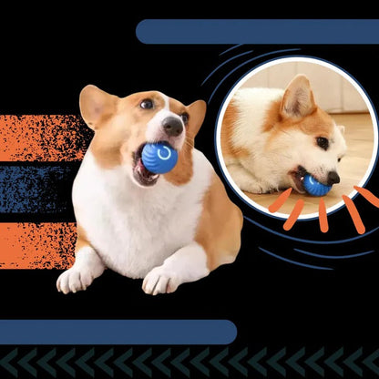 Interactive Dog Ball Toy for Chasing and Avoidance Play