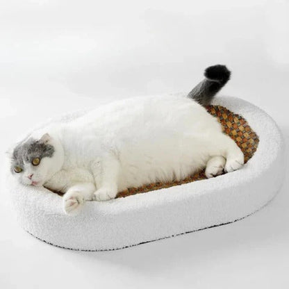 Scratch Board for Cats Cardboard and Sisal Material