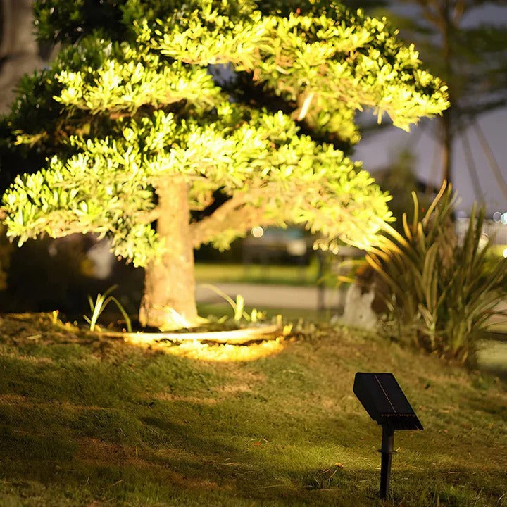 Solar Multi-zoom Spot Light with Waterproof LED and RGB Colors