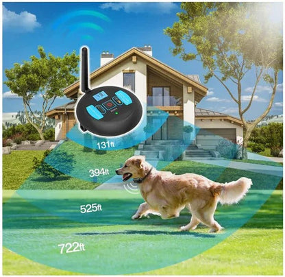 Dual Wireless Boundary and Remote Outdoor Trainer