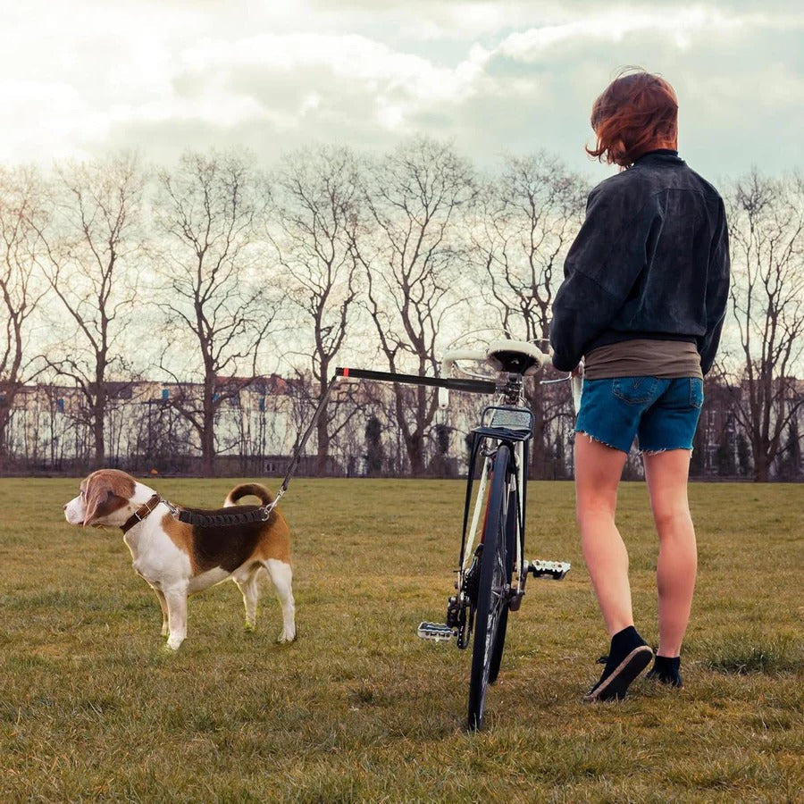 Bike Dog Tow Leash