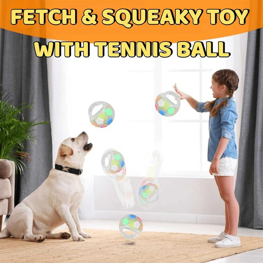 Durable Rubber Football Dog Toy with Bottle Design for Aggressive Chewers